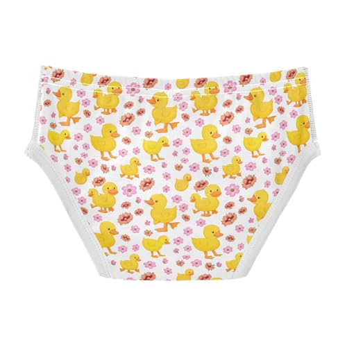 Cute Duck Pink Flowers Toddler Boy's Underwear 2T 202c18192