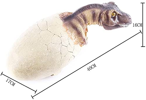 Esqueleto de dinosaurio en resina para resolver la decoración de estanterías 5