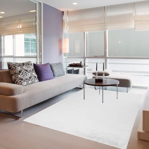 _炩tFCNt@[O 60x80 cm 􂦂郊rO[J[ybg Sn̗ǂz[fR[V lXȐFƃfUC Q⃊rO[ɍœK zCgJ[IvV