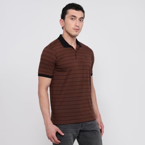 Image of Park Avenue Men Slim Fit Stripe Pattern Pure Cotton Polo Neck Half Sleeve Casual T-Shirt