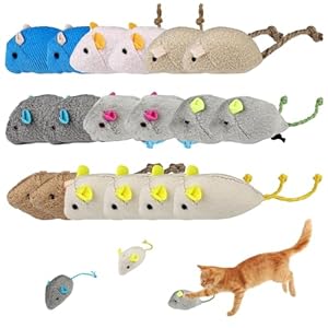 Lixiluxia 18 Stück Katzenminze Mäuse Spielzeug Set