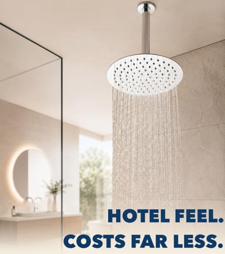 Pomme de douche de rechange chromé G1/2 avec rotule en laiton