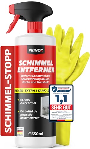 Profi Schimmelentferner Set inkl. 2 Schutzhandschuhe - Schimmelspray mit Hafteffekt gegen Schimmel an Wand Fugen Tapete Textilien Auto - Entfernt Schimmel hocheffektiv