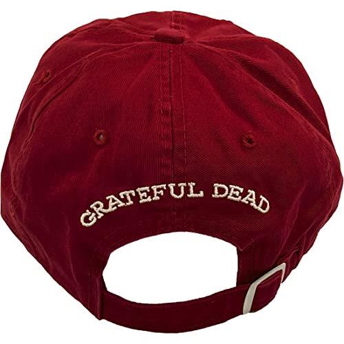 Grateful Dead Mens Liquid Blue Grateful Dead Tour Alumni Oval Bolt Baseball Hat
