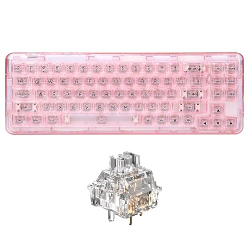 Amazon.co.jp: YUNZII メカニカルキーボード: 透明キーボード