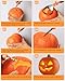 Luditek Halloween Pumpkin Carving Tools, Halloween Jack-O-Lanterns 11 Piece Professional Stainless Steel Pumpkin Carving Kit, Pumpkin Cutting Supplies Tools Kit for Adults Kids