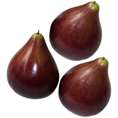 Gadpiparty AȃC`WN lHt[c p vX`bNt[c Lb`CeAfBXvCp 3Zbg Fw _J[