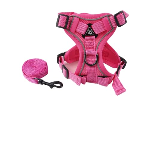 Fiozwea qp[hAxXg^Lpn[lXAˍޕtAʋC LƎqpUp[hƃXgbv (L,F)