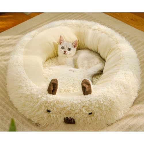 FILWY Lxbh xbh ~pybgnEX ی^ p ӂӂۉh hh ~ 􂦂 ό`ɂ  (L,ApJ)