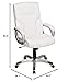 Amazon Basics Executive Home Office Desk Chair with Padded Armrests, Adjustable Height and Tilt, Rolling Swivel Chair, 275 Pound Capacity, White and Pewter