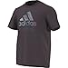 Produktbild adidas Outdoor Herren T-Shirt Edo Logo Linear Mineral Red, Größe L