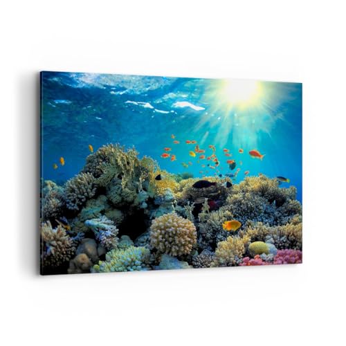 Tableaux Decoratifs Muraux Chambre Récif de Corail 100x70cm Grand Format Horizontal