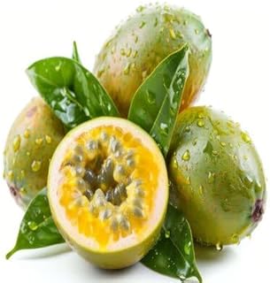 60 graines de fruits de maracuja vert