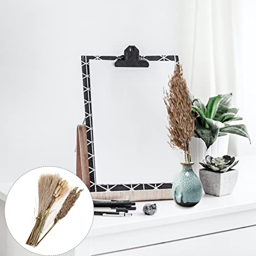 SEWACC Ramos de palheta natural de grama seca de pampa natural para buquê de casamento, enchimento d