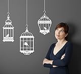 Pretty Birds in 3 Hanging Birdcages Vinyl Wall Decal Stickers Removable Decorative Graphic Transfers (White, 24x18 inches)