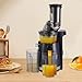 Slow Juicer Machine with All-Copper Motor and Dual-Port Design for Efficient Juice Extraction and Easy Operation, Ideal for Fresh Fruit and Vegetable Juices at Home