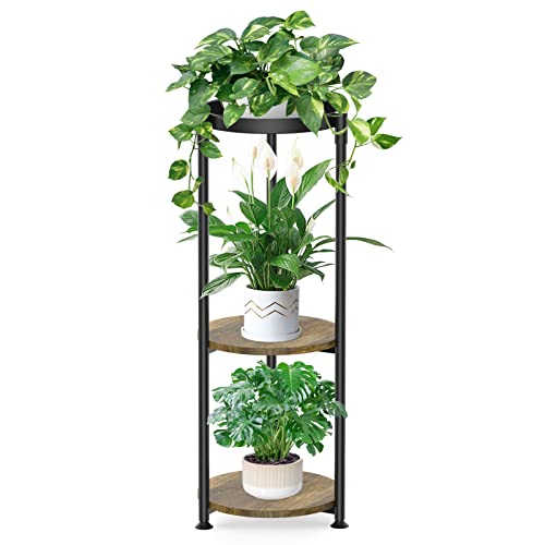 Casulo 3 Tier Metal Plant Stand Indoor Tall, 35 Inch Corner Plant Holder For Plants Multiple, Modern Flower Pot Shelf Planter Display Rack For Outdoor Living Room Balcony Garden Patio(Black, Round)… #TOP8