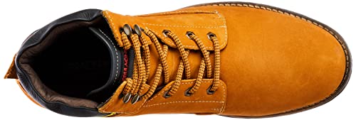 BOTA FERRACINI COMPASS 41