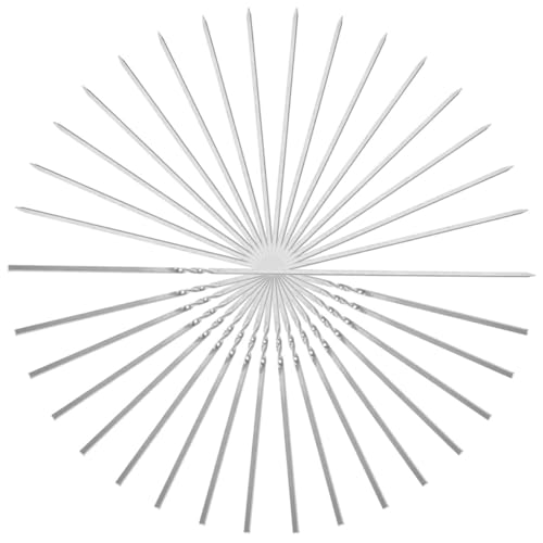 Alipis 20 Pezzi Spiedini In Acciaio Per Barbecue Piccoli Spiedini Spiedini In Metallo Spiedini Per Griglia All'Aperto Barbecue Stick Spiedini Di Antipasti Spiedo In Metallo Spiedini Di