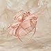 C.Garopl Fascinators Hats Women Vintage Wedding Fashion Headband Clip Church Cocktail Dresses Headwear Tea Party (Pink-02)