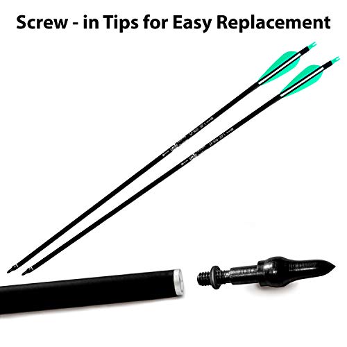 Archery Arrow Field Points Tips - Practice Target & Hunting Arrows Heads For Recurve, Compound Bow & Crossbow Bolts, Screw-In 100 Grain (12 Pack) #TOP4