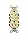Leviton 5842-I 20 Amp, 125/250 Volt, Narrow Body Duplex Receptacle, Straight Blade, Commercial Grade, Self Grounding, Dual Voltage, Ivory