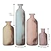Sizzix Bigz Die Bottled Up by Tim Holtz, Multicolor