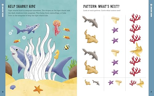 Sharks Preschool Activity Book: Fun Learning with Great Whites, Tiger Sharks, and Hammerheads