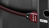 Samsung QN55QN80FAFXZA 55 Inch Neo QLED QN80F Series Supreme UHD 4K TV with a WireLogic Ruby 8ft Ultra High Speed 4K-8K-10K HDMI Cable (2025) — image 8