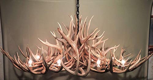 REAL ANTLER CHANDELIER, OBLONG 8 LIGHTS, SHED ANTLER ART, ELK COVERED SOCKETS HANDMADE EXTRA LARGE 50