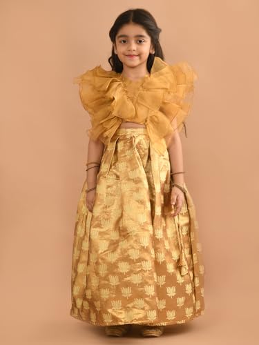 Image of Lilpicks Ruffle Sleeveless Blouse with Brocade Flared Lehenga Set for Girls (Pink)