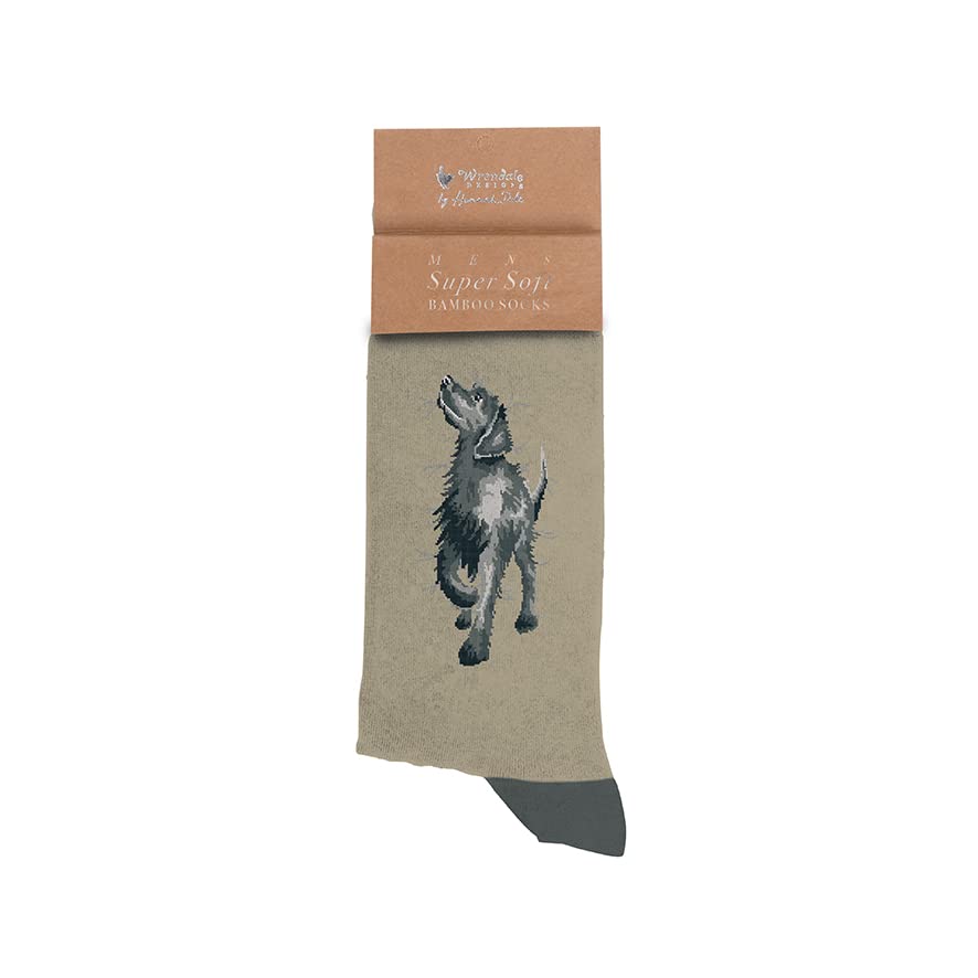 Wrendale Designs - Good as Gold' Labrador Calzini Uomo, Multi, 7-11