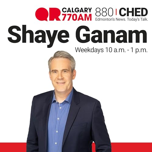 Meta, Carbon Price, Market Gambling