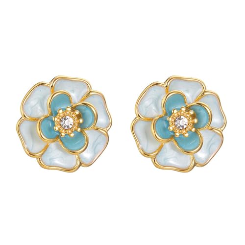 iȃJAGiWRjAX^bhsAX ? S[hR[eBOXeXAt[fUCAJWAtH[}ɍœKAt@bVWG[