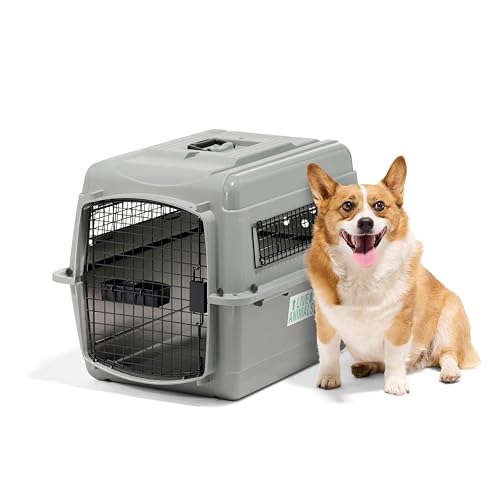 Petmate 00200 Transportin Sky Kennel 28, 71,12 L x 52,07 B x 54,61 H cm, Grau