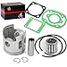 J10-11631-00-96 Top End Piston Bearing Gasket Ring kit for Yamaha G1 2-Cycle Gas Golf Cart 1978-1989 J10-11610-00-00 93310-218A6-00
