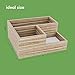 3-Grid Natural Wooden Succulent Flower Planter Box + 5 Miniature Ornaments - Drainage Holes, Drip Tray, Anti-Mold Base : Also Use as Desk Organizer - Great Plant Gift