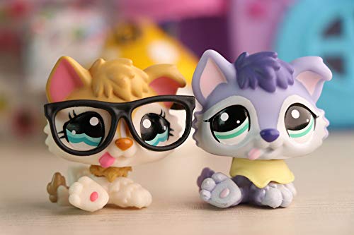TTtoy lps Rare Figures Collectable, lps Collie lps Great Dane lps Shorthair Cat lps Cocker Spaniel lps Dachshund with lps Accessories (2 Husky)