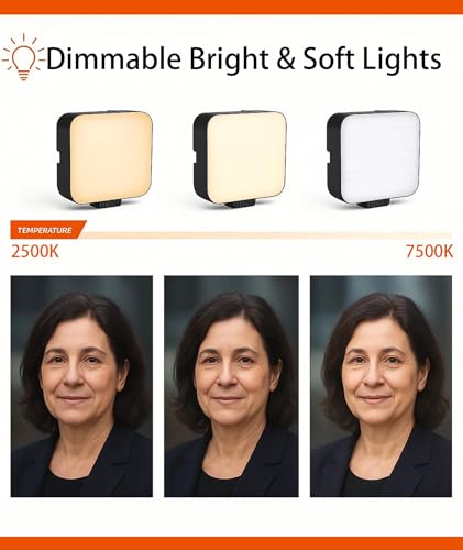 Image of Lights for Video Shooting, Video Light, Portable Camera Light with Clip, Adjustable Brightness and Color Temperature, Ideal for Video Shooting, Photography, Zoom Meetings, and Selfie Scenes