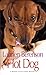 Hot Dog (A Melanie Travis Mystery Book 9)