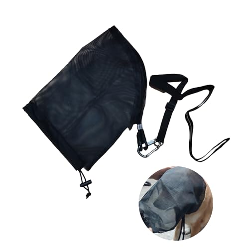 Foxtail Dogs The 15 best products compared Wild Explained