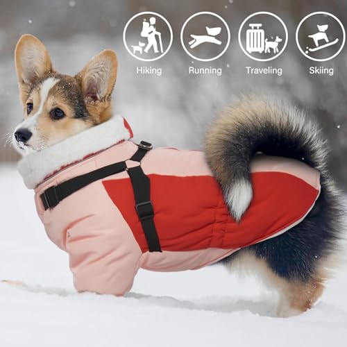 MHaustlie Manteau d'hiver pour Chien avec Fermeture Éclair Et Bandes Réfléchissantes, Gilet d'hiver Chaud pour Chien, Vêtements Chauds pour Chiens de Petite, Moyenne Et Grande Taille(S, Rouge)