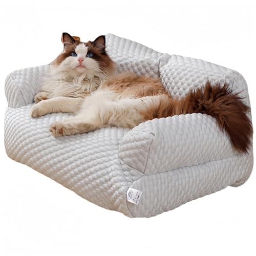 RoastMe  \t@ łjȂ  v ybgxbh pxbh ~ ybgxbh  􂦂  xbh ɂ  Ђ  \t@QSnǂ xbg I[V[Y  xbg |₷ ^ ^ L 