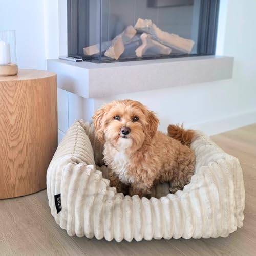 4L Textil Bella Plüsch-Hundebett Premium-LINE Kuscheliges Hundekörbchen aus Cord Katzenkorb Hundekorb für Welpen Hundebett flauschig Hundesofa kleine Hunde (Rosa, 60x40 cm)