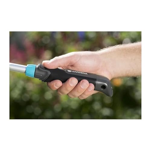 Serfouette Panne et fourche à 2 dents. - vue 3