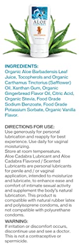 Aloe Cadabra Water Based Gingerbread Lubricant | Best Seasonal Organic Spiced Lube For Men, Women & Couples, 2.5Oz #TOP2