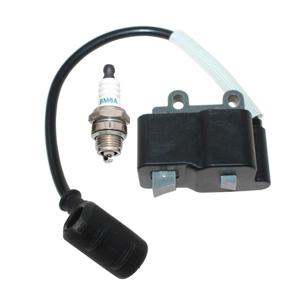 Bobine d'allumage HC-2020 module de rechange A411001810 pour moteur