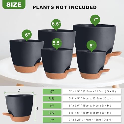 Image of INKULTURE Flower Pot for Indoor Plants - Self Watering Plant Pot Set of 5, Multi Size Plastic Planter with Drainage Hole & Watering Lip (7 /6.5 /6 /5.5 /5 Inch) Black | Pots for Home, Office & Succulents