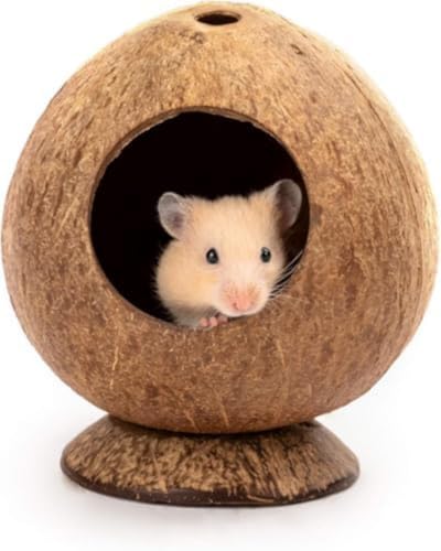 Ambety nX^[̂ApiAAg~̊ݕARRibcXqAnX^[̉ƁAxbhA̎q̃}EXP[WAn̑