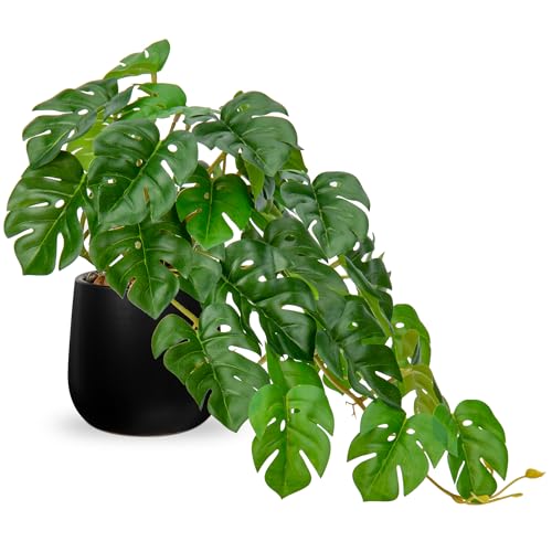 DILATATA Fake Plants Indoor 8 Inch Artificial Monstera Plant in Black Ceramic Pot - Faux Potted Tropical Palm Plant for Home Aesthetic Decor Living Room Shelf Office